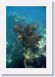PuertoRico - 112